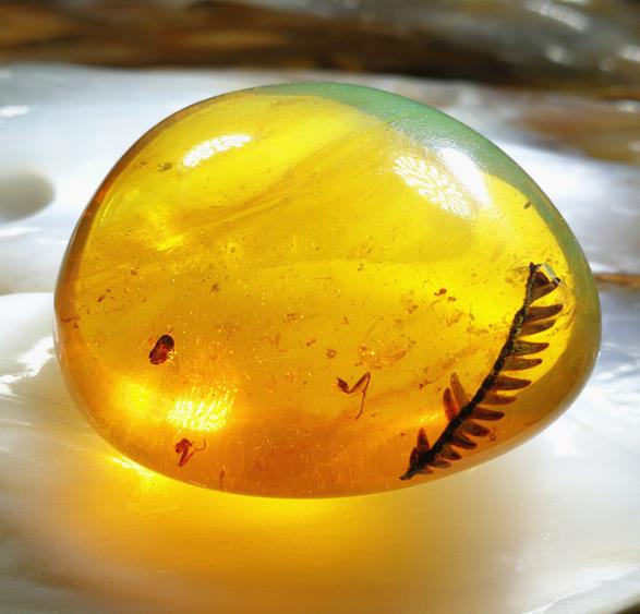 琥珀属于哪种宝石?宝石种类有哪些?