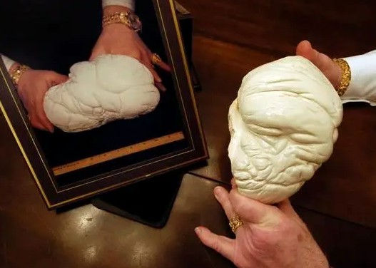 全球最贵十颗珍珠介绍，最贵比钻石还值钱