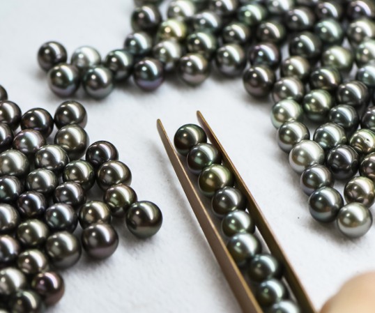 大溪地黑珍珠产地哪里?有哪些独特之处